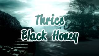 Thrice - Black Honey [Lyrics on screen]