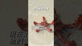 拾海星的故事 | 每當撿起一隻海星 再丟回海裡 就已改變一隻海星的命運 | #寓意故事 #哲理故事 #反思