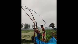 fishing in rainy day | huge fish catching in flood water