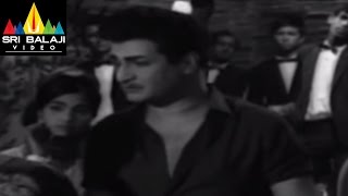 Jeevitha Chakram Movie NTR Action Scene in Pub | NTR, Vanisri, Sharada | Sri Balaji Video