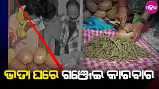 Balangir News: ବଲାଙ୍ଗିର କୋଶଳ ଛକନେ ଭଡାଘରୁ ୯୨ ପ୍ୟାକେଟ୍ ଗଞ୍ଜେଇ ଜବତ୍