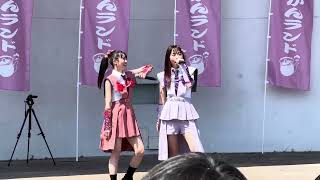 TEAM SHACHI「沸き曲」ももクロ春の一大事2024in亀岡市やかん大作戦2024/04/14