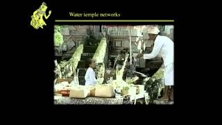 Subak: Balinese Water Temples and Water Management (Stephen Lansing)