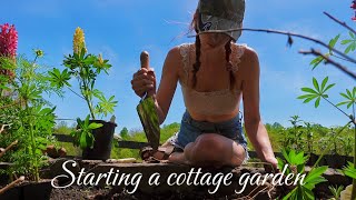 Creating my dream cottage garden🌱