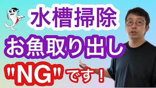 【みんなの疑問】水槽掃除の時にお魚を取り出すのはどんな時?