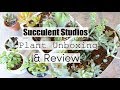 Succulent Studios Subscription Unboxing & Review | Online Plant Subscription Box Review!