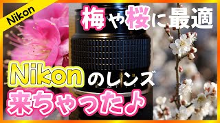 【Nikon】これがNikonの新レン…ん❓ | Ai Micro Nikkor 105mm F4 | FUJIFILM X-E3【オールドレンズ】