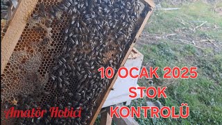 10 Ocak 2025 Arılık da Stok ve yavru kontrolü #bee #arıcılık #anaarı