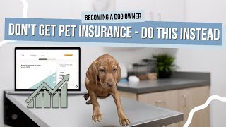Why You Shouldn't Get Pet Insurance | Do THIS Instead