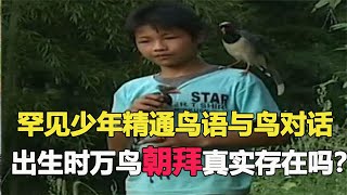 罕見少年精通鳥語與鳥對話，能指揮所有鳥獸工作，村民眼中的鳥神 #鉴证史者 #古董 #開棺 #古墓 #考古發現