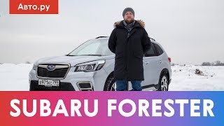 SUBARU FORESTER: царь-кроссовер или жертва вариатора? | Подробный тест