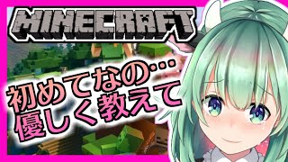 【マインクラフト】完全初見！！指示厨大歓迎！初めてのマイクラ【ゲーム実況】