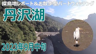 丹沢湖(神奈川県)の探鳥地レポートです　ヤマセミは健在ですが…　2023年9月中旬