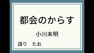 【朗読】都会のからす【小川未明】