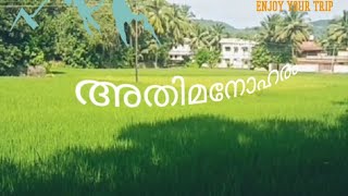 Alipparamba village 😍😍👌👌എന്റെ നാട് || beauttifull👌🌿🌱പച്ചപ്പ് നിറഞ്ഞ ഗ്രാമം