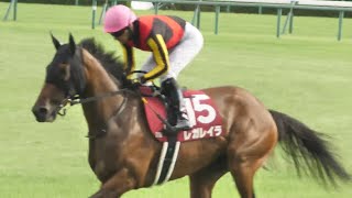 ローズS 2024 本馬場入場〜返し馬 レガレイラ視点