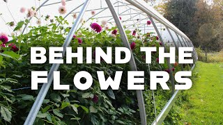 Hoop houses, irrigation, and the layout of our cut flower farm