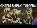 【MH3U】Charm Sniping Tutorial︱Enduring and Timeworn Charms!