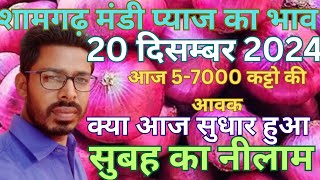 shamgarh mandi pyaz ka bhav || shamgarh mandi bhav pyaz