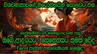 විශ්වමාතාවගේ නියෝජිතයන්ගෙ මෙලොව ගමන ඔබේ ආදරයට කෙසේ බලපාවිද?|Sinhala|#tarot #future #love #astrology