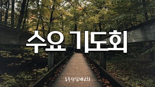 25.01.22 수요기도회