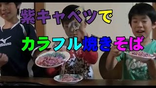 ジオラボ　紫キャベツでカラフル焼きそばを作ったよ