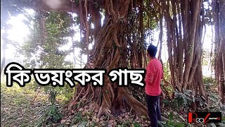 ভয়ংকর বটগাছের নিচে,Under the dreaded banyan tree,real sumon