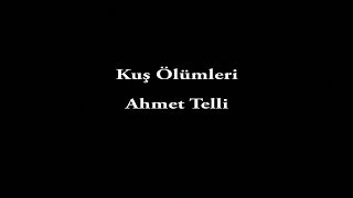 Ahmet Telli-Kuş Ölümleri