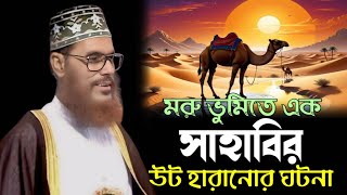 মরুভূমিতে এক সাহাবীর উঠানোর ঘটনা।। আল্লামা দেলোয়ার হোসেন সাঈদি Allma Dalwar Hossain Saidi 2024