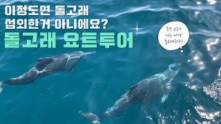 제주 돌고래 체험하고 왔어요! 제주도 요트 투어 진심 강추! 사랑스런 돌고래~