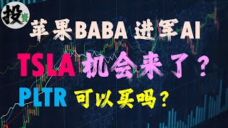 美股 | 投资 | 股票 | TSLA股票何时抄底？PLTR股票买入时机？苹果阿里巴巴进军AI