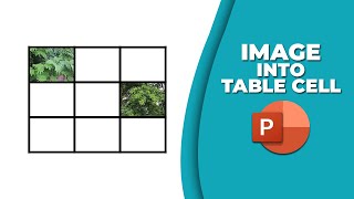 How to insert an image into a table cell in PowerPoint