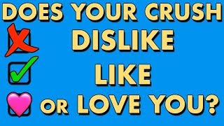 Does Your Crush Dislike, Like Or Love You? Love Personality Test | Mister Test