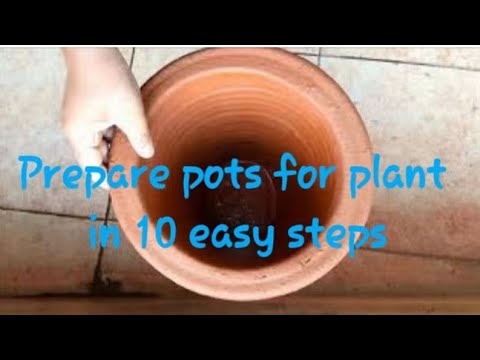 How To Prepare Pots For Planting 10 Simple Steps Youtube