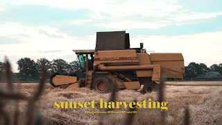 sunset harvesting