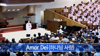 [소망교회] Amor Dei / 특송 / 20240324