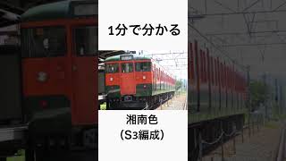 【1分で分かる】しなの鉄道で活躍中の115系カラーリング　#しなの鉄道 #115系 #カラーリング #1分でわかる #鉄道