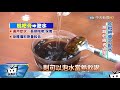 20171102中天新聞　枇杷膏正確吃法　生吞還是泡水喝