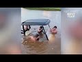 best fails of the year so far try not to laugh