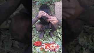 Primitive Technology   Eating Delicious, Cooking Squid & Shrimp on the rock for Food 10