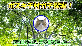 GPSで判明した脱走猫の潜伏先を探索に行ったら、夢のような世界が広がっていた‥【これが真のボスキチ村だ！】