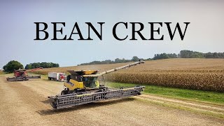 Episode 30 Bean Crew