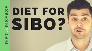 What Is SIBO and Does Diet Matter?