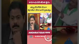 జగనన్న గవర్నమెంట్లో తప్పు చేసినవాడు ఎంతటి వాడైనా శిక్ష తప్పదు #ysrcpsocialmedia #ysjagan #endoftdp