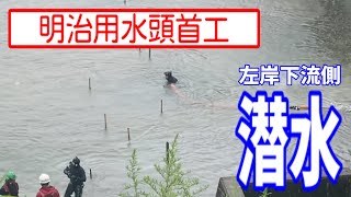 【明治用水頭首工】左岸下流側での潜水作業