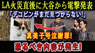 【速報】LA火災直後に大谷から電撃発表「デコピンがまだ見つからない!」真美子号泣謝罪 ! 恐るべき内容が発生!