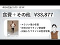 【社畜】fire目指す20代会社員のリアル家計簿｜新nisaでオルカンに全力投資するために奮闘中！