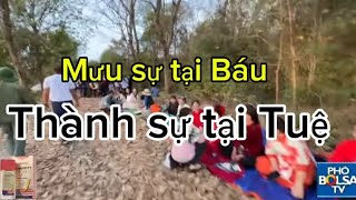 Luật gia Trần Đình Thu đang phát trực tiếp!