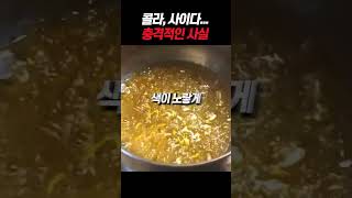 콜라 사이다의 충격적 진실 (제발 그만 드세요)