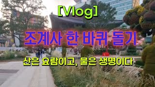 [Vlog] 조계사 산책 🌳 서울 도심에 사찰이 있어 좋다 💚